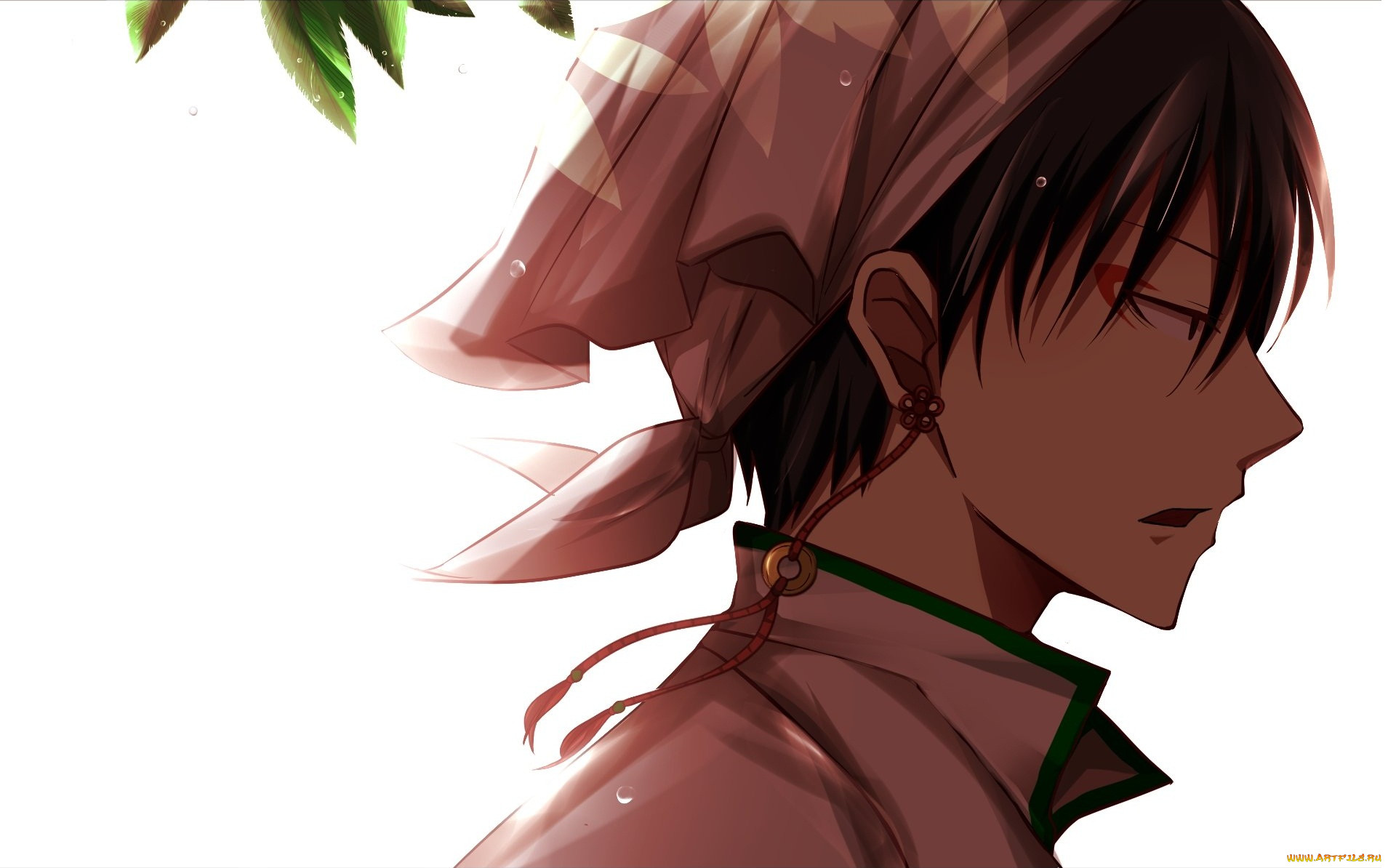 , hoozuki no reitetsu, , , 